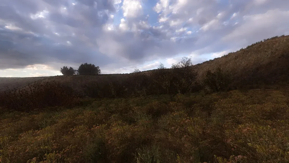 Escondite al norte de la zona, por encima del aserradero, bajo uno de los abetos