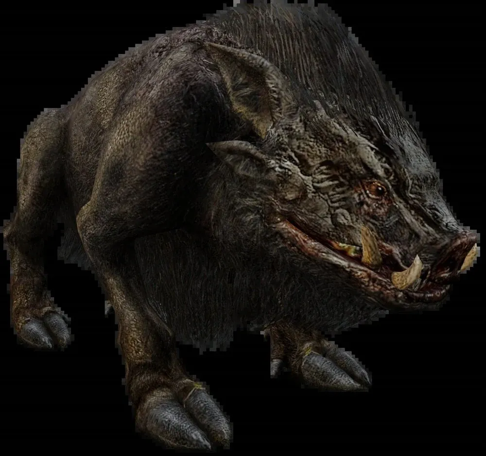 Imagen de Jabalí (Boar)