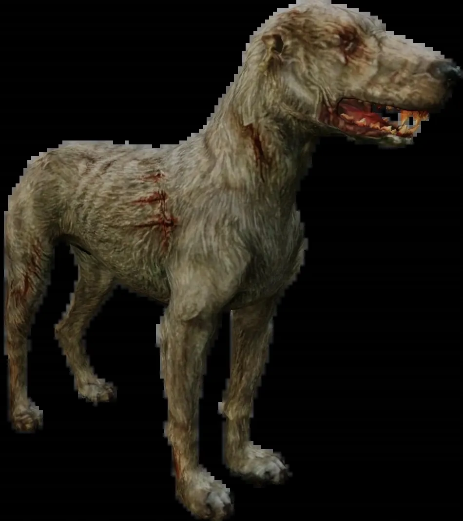 Imagen de Perro ciego