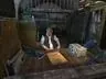 Sidorovich tras el mostrador de su búnker