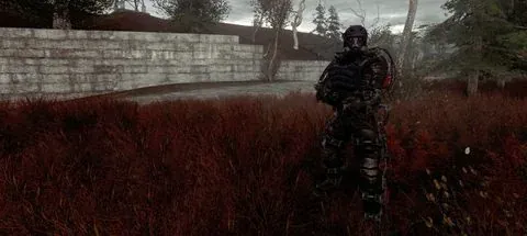 Stalker: red forst
