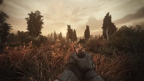 Radiophobia 3 (revisión de Shadow of Chornobyl): captura 5