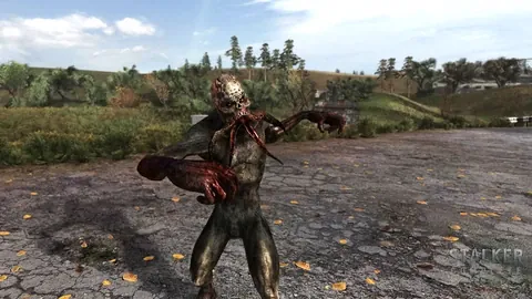 STALKER Complete 1.5: captura 5